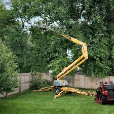 Best Tree Trimming and Pruning  in Commerce, GA